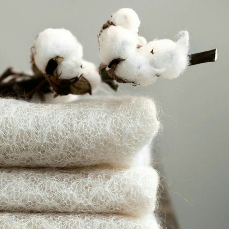 Coton bio